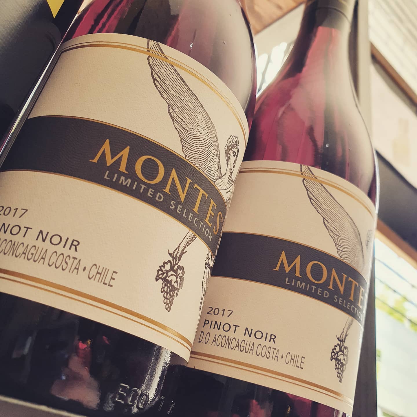 Montes Limited Selection Casablanca Pinot Noir 2016